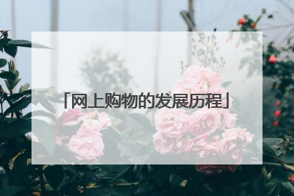 网上购物的发展历程