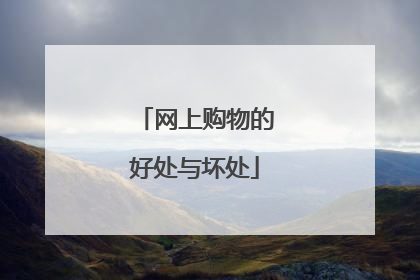 网上购物的好处与坏处