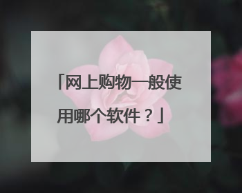 网上购物一般使用哪个软件？