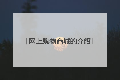 网上购物商城的介绍