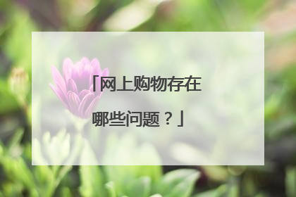 网上购物存在哪些问题?