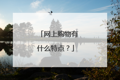 网上购物有什么特点?