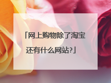 网上购物除了淘宝还有什么网站?