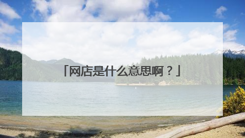 网店是什么意思啊?