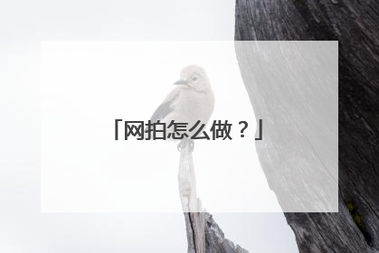 网拍怎么做?