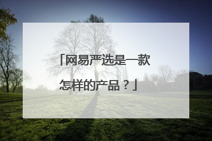 网易严选是一款怎样的产品?