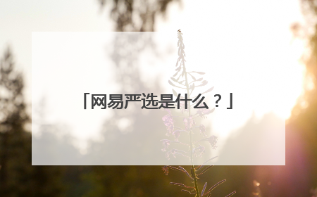 网易严选是什么?