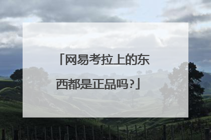 网易考拉上的东西都是正品吗?