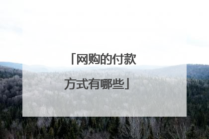网购的付款方式有哪些