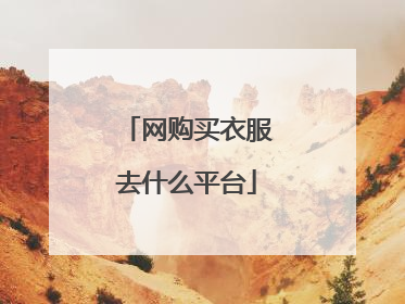 网购买衣服去什么平台
