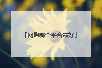 网购哪个平台最好