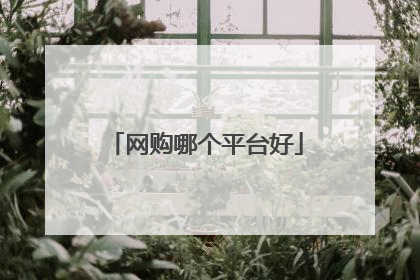 网购哪个平台好