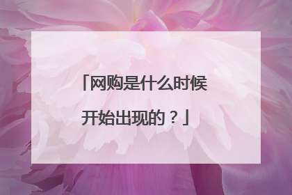 网购是什么时候开始出现的?