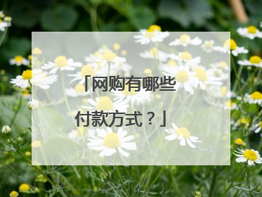 网购有哪些付款方式?