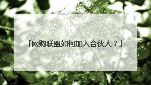 网购联盟如何加入合伙人?