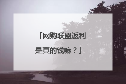 网购联盟返利是真的钱嘛?