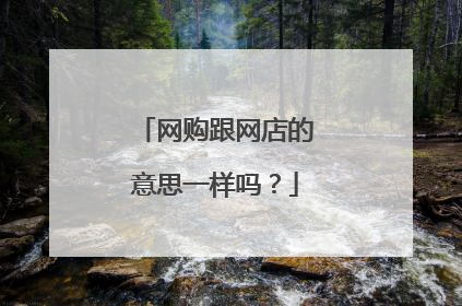网购跟网店的意思一样吗？