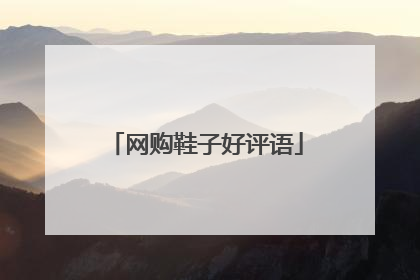 网购鞋子好评语