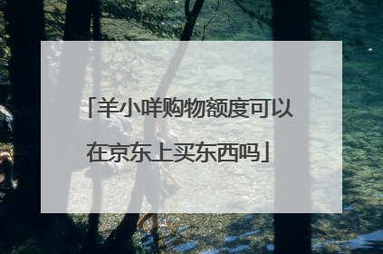 羊小咩购物额度可以在京东上买东西吗