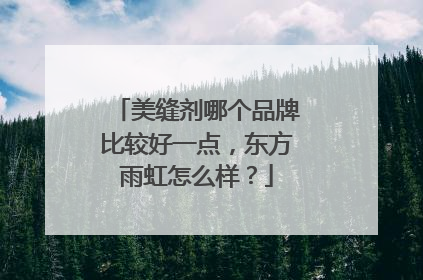 美缝剂哪个品牌比较好一点，东方雨虹怎么样？