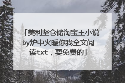 美利坚仓储淘宝王小说by炉中火暖你我全文阅读txt,要免费的