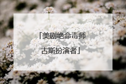美剧绝命毒师 古斯扮演者