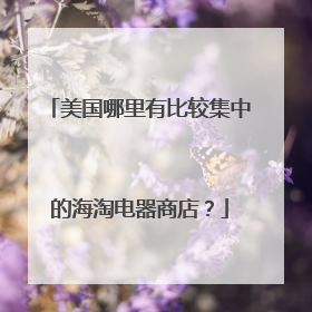 美国哪里有比较集中的海淘电器商店?