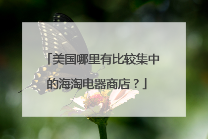 美国哪里有比较集中的海淘电器商店？