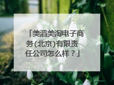 美滔美淘电子商务(北京)有限责任公司怎么样?