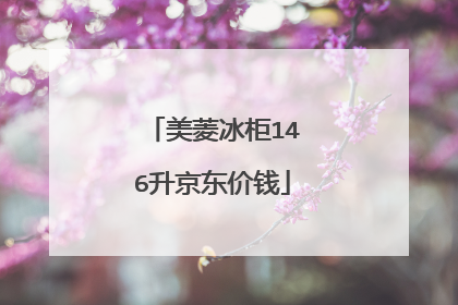 美菱冰柜146升京东价钱