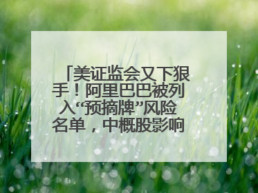 美证监会又下狠手!阿里巴巴被列入“预摘牌”风险名单,中概股影响几何?