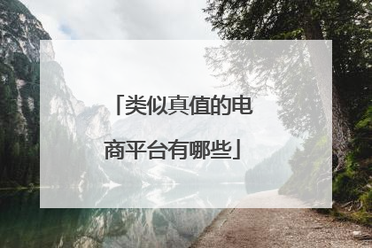 类似真值的电商平台有哪些