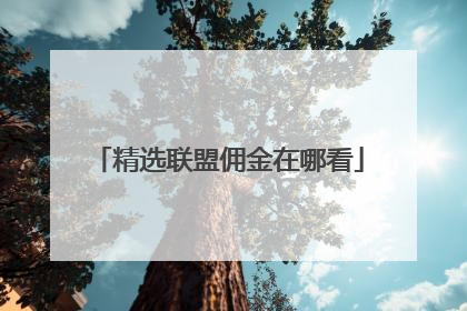 精选联盟佣金在哪看