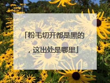 粉毛切开都是黑的，这出处是哪里