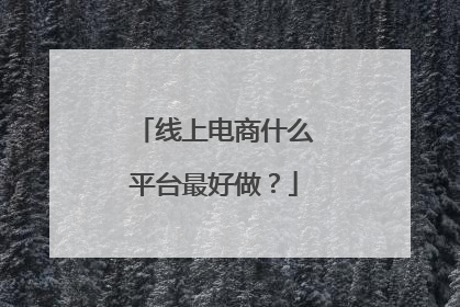 线上电商什么平台最好做?