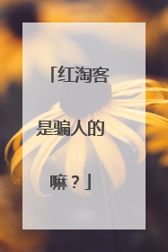 红淘客是骗人的嘛?