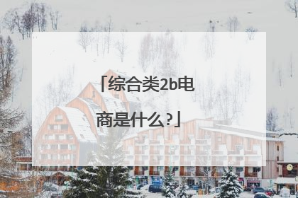 综合类2b电商是什么?