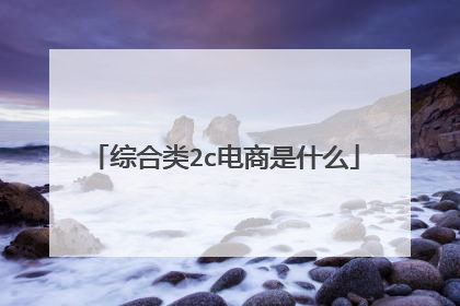 综合类2c电商是什么