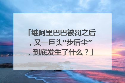 继阿里巴巴被罚之后，又一巨头“步后尘”，到底发生了什么？