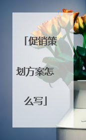 促销策划方案怎么写