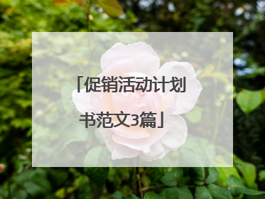促销活动计划书范文3篇
