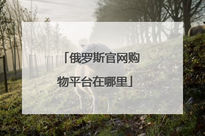 俄罗斯官网购物平台在哪里