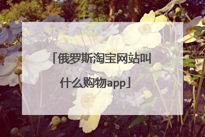 俄罗斯淘宝网站叫什么购物app