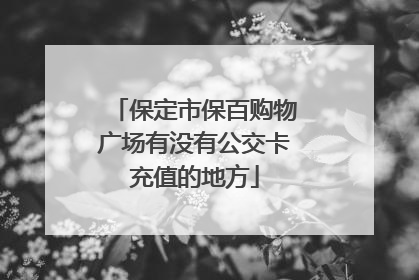 保定市保百购物广场有没有公交卡充值的地方