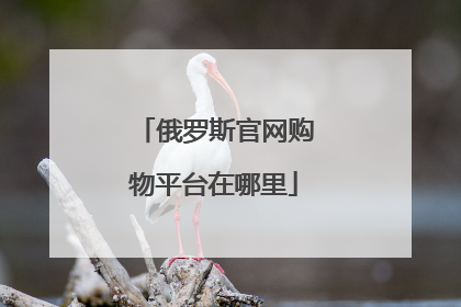 俄罗斯官网购物平台在哪里