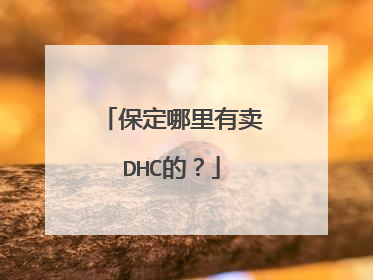 保定哪里有卖DHC的?