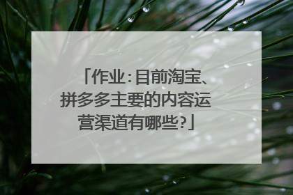 作业:目前淘宝、拼多多主要的内容运营渠道有哪些?