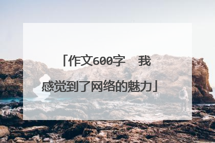 作文600字 我感觉到了网络的魅力