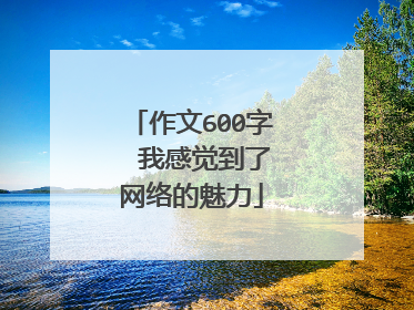 作文600字 我感觉到了网络的魅力