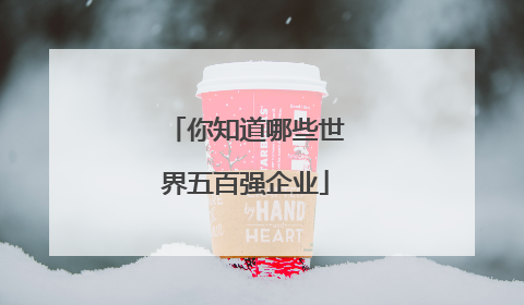 你知道哪些世界五百强企业